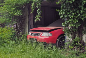 Abandoned Cars